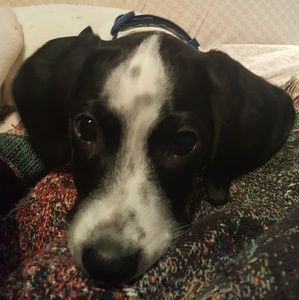 Meet your Posher, Lynda